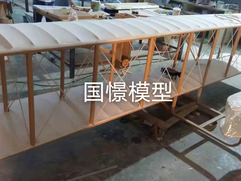 平遥县飞机模型
